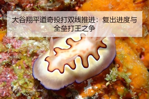 大谷翔平道奇投打双线推进：复出进度与全垒打王之争